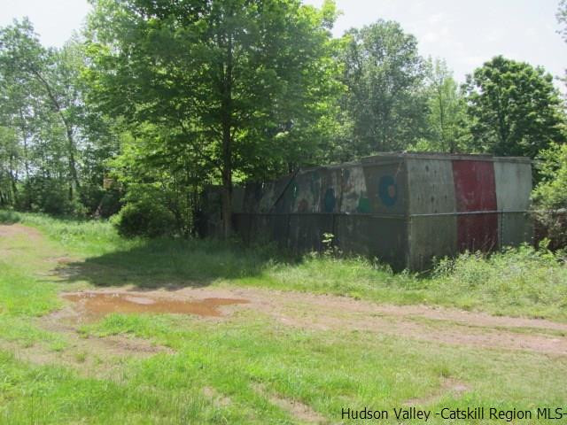 142 Forestburgh Road Monticello, NY 12701 - Photo 13 of 17 Photo 13