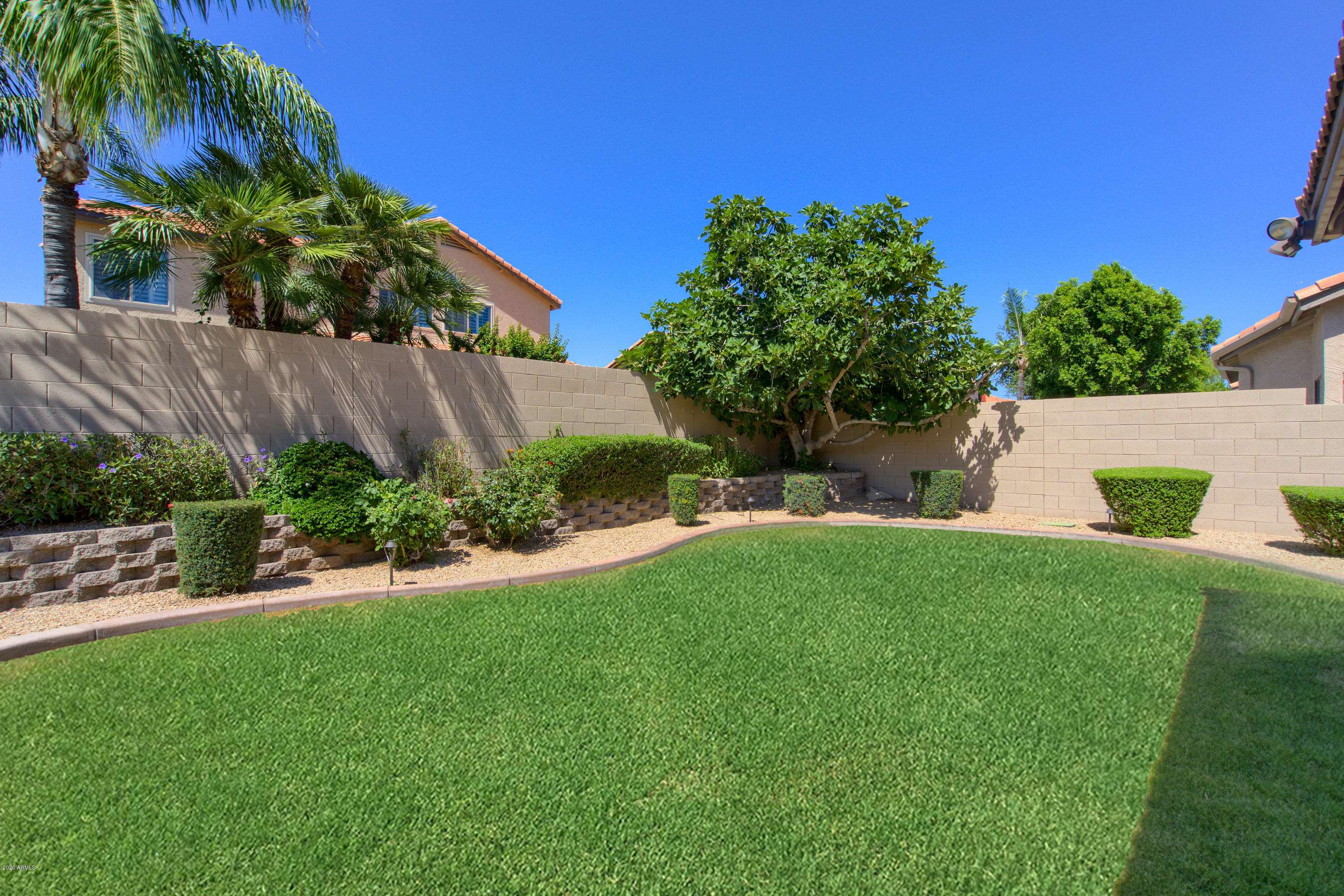 5908 East Grandview Road Scottsdale, AZ 85254 - Photo 39 of 39 Backyard