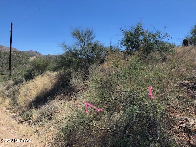 1539 Cocer Court, Unit 35 Rio Rico, AZ 85648 - Photo 1 of 10