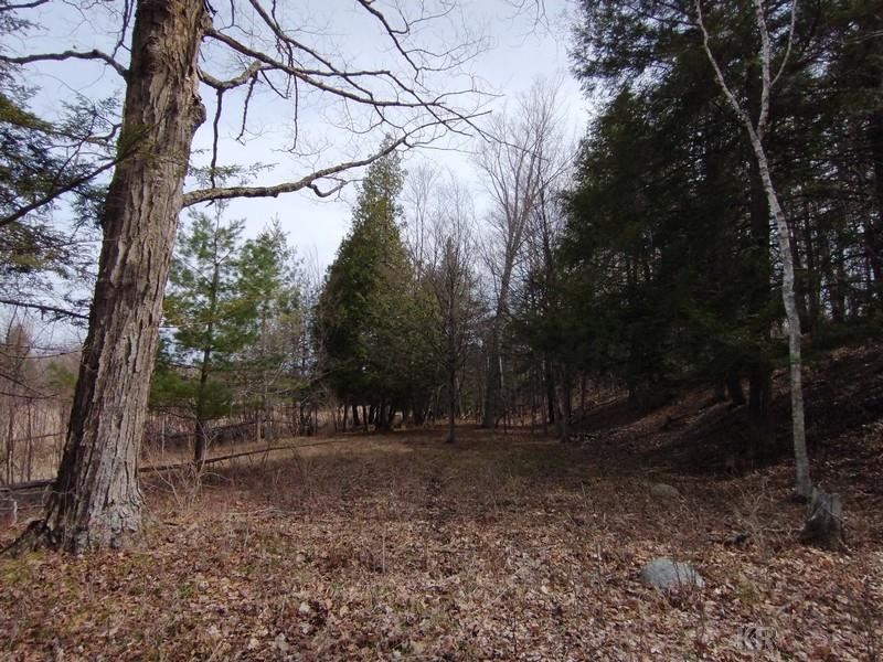 50-acres Sugar River Road Gladwin, MI 48624 - Photo 17 of 29