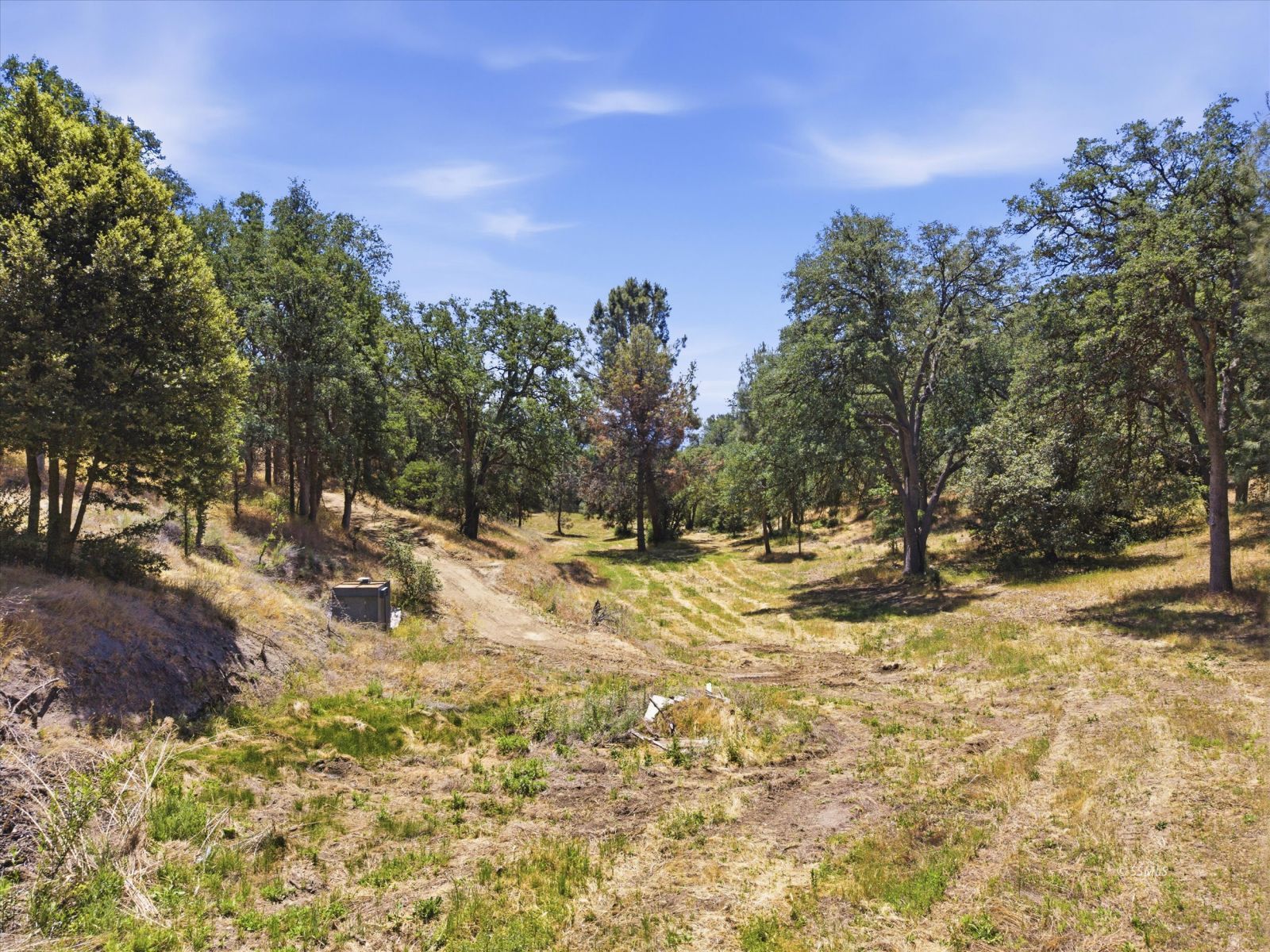 1124 Piute Meadows Road Caliente, CA 93518 - Photo 8 of 44