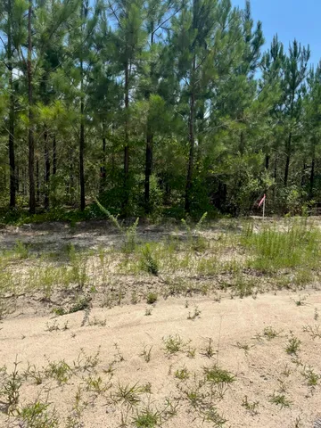 $27,200 | 1 Brunson Teal Road, Unit BFF 1E, Patrick, SC 29584