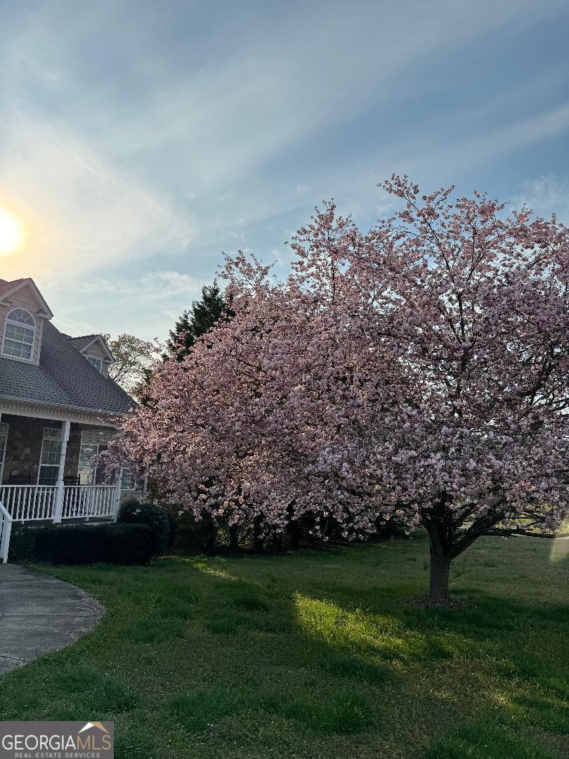 2458 Post Road Cleveland, GA 30528 - Photo 1 of 90