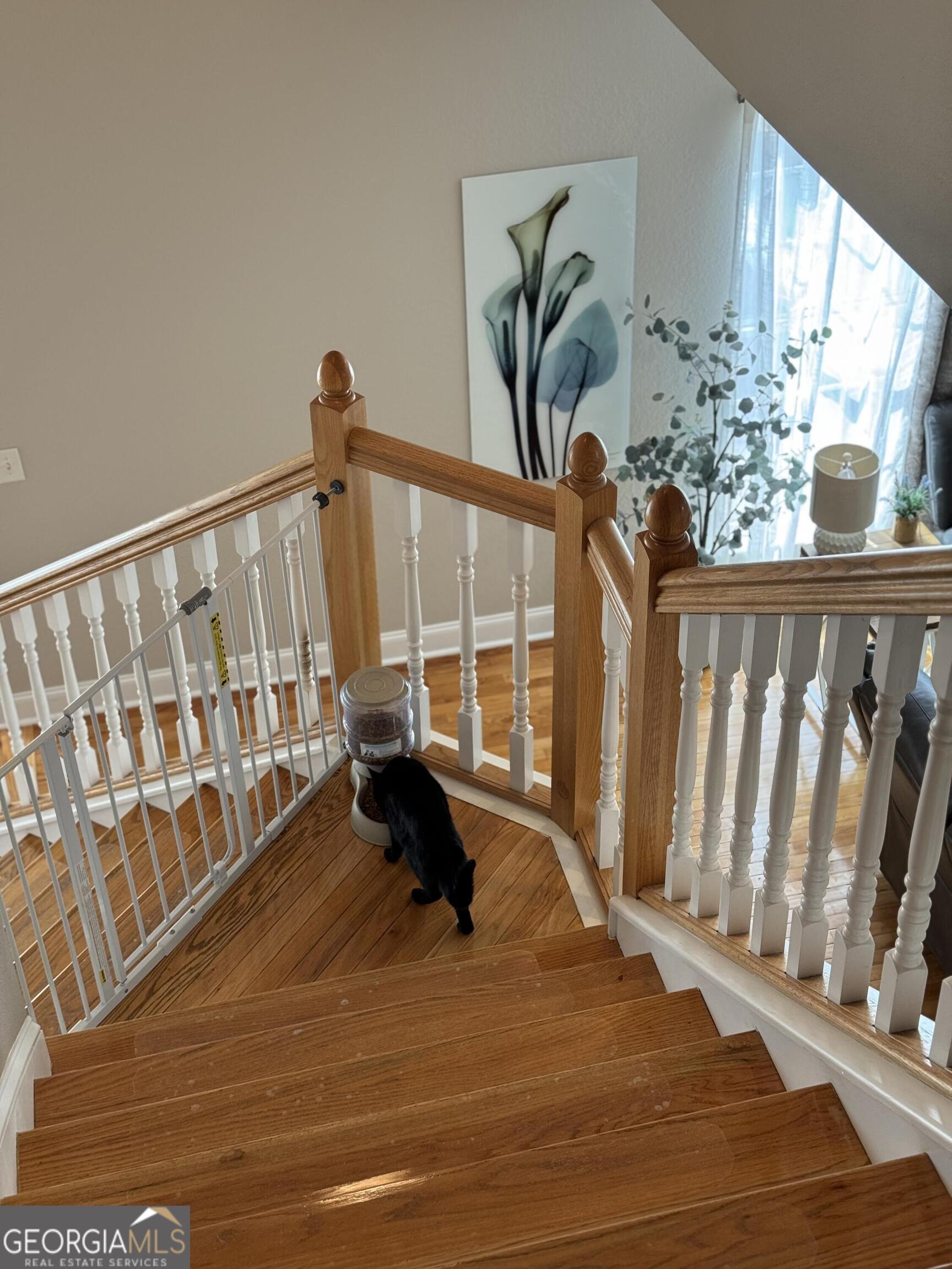 2458 Post Road Cleveland, GA 30528 - Photo 88 of 90