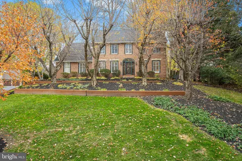 a view of road with large trees