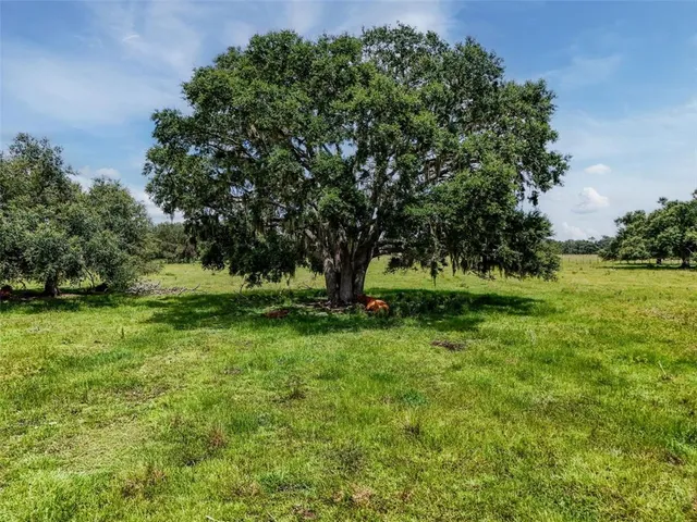 a view of backyard with green space