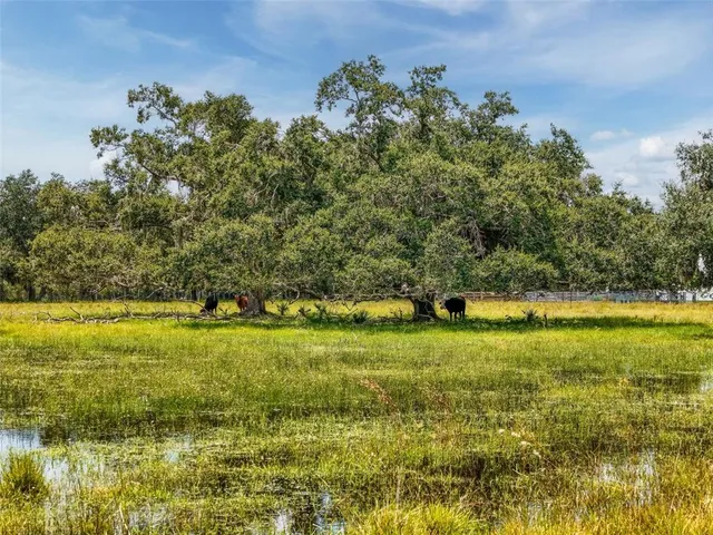 a view of outdoor space with deck and yard