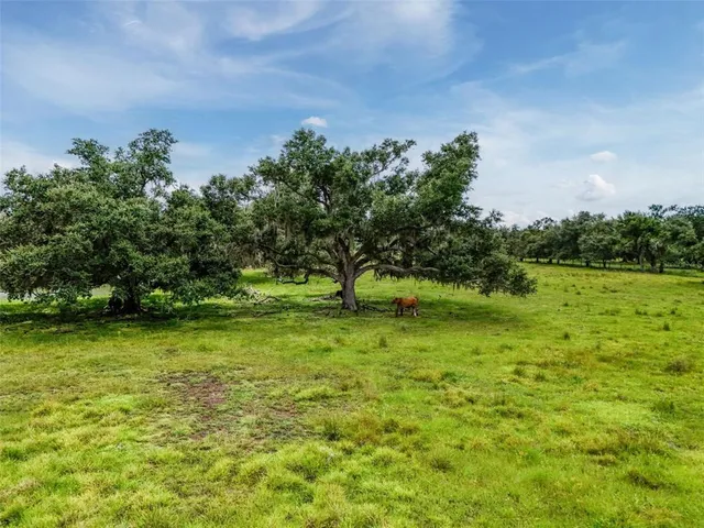 a view of a garden with a lake