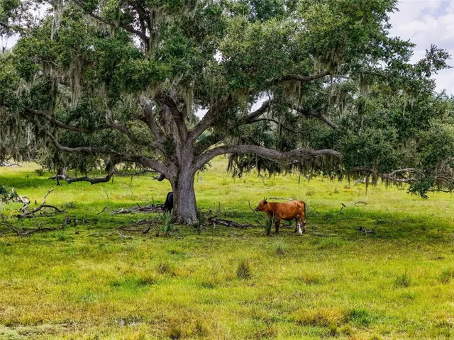 a view of a lake with houses in the background