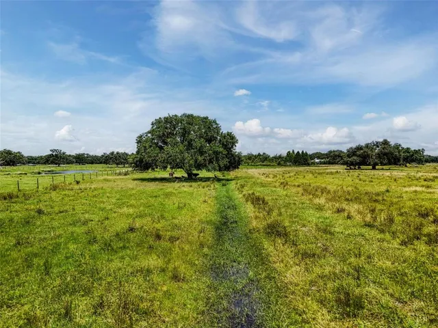 a view of yard with swimming pool and trees