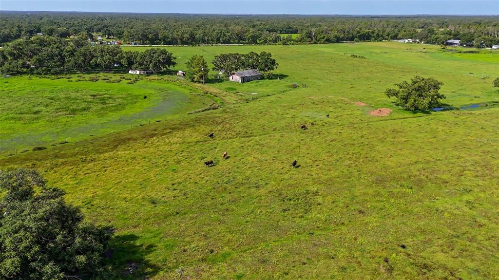 12950 River Road Myakka City, FL 34251 - Photo 31 of 32 a view of a lake with a houses
