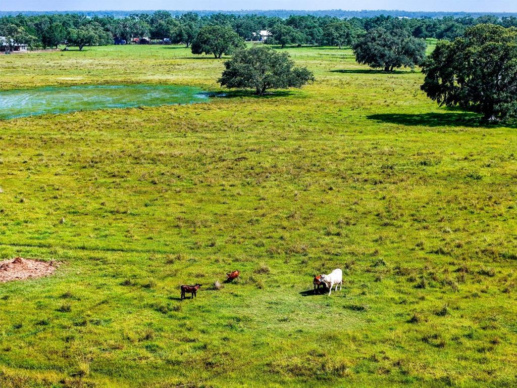 12950 River Road Myakka City, FL 34251 - Photo 32 of 32 a backyard of a house with lots of green space and lake view