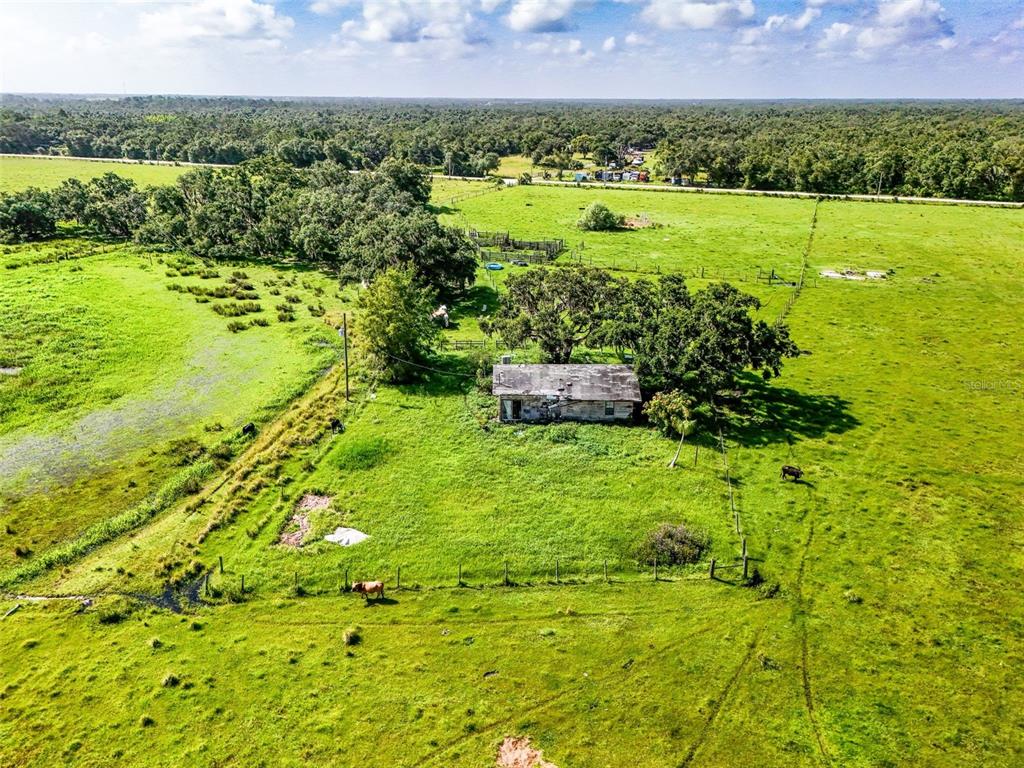 12950 River Road Myakka City, FL 34251 - Photo 4 of 32 a view of a garden with an ocean