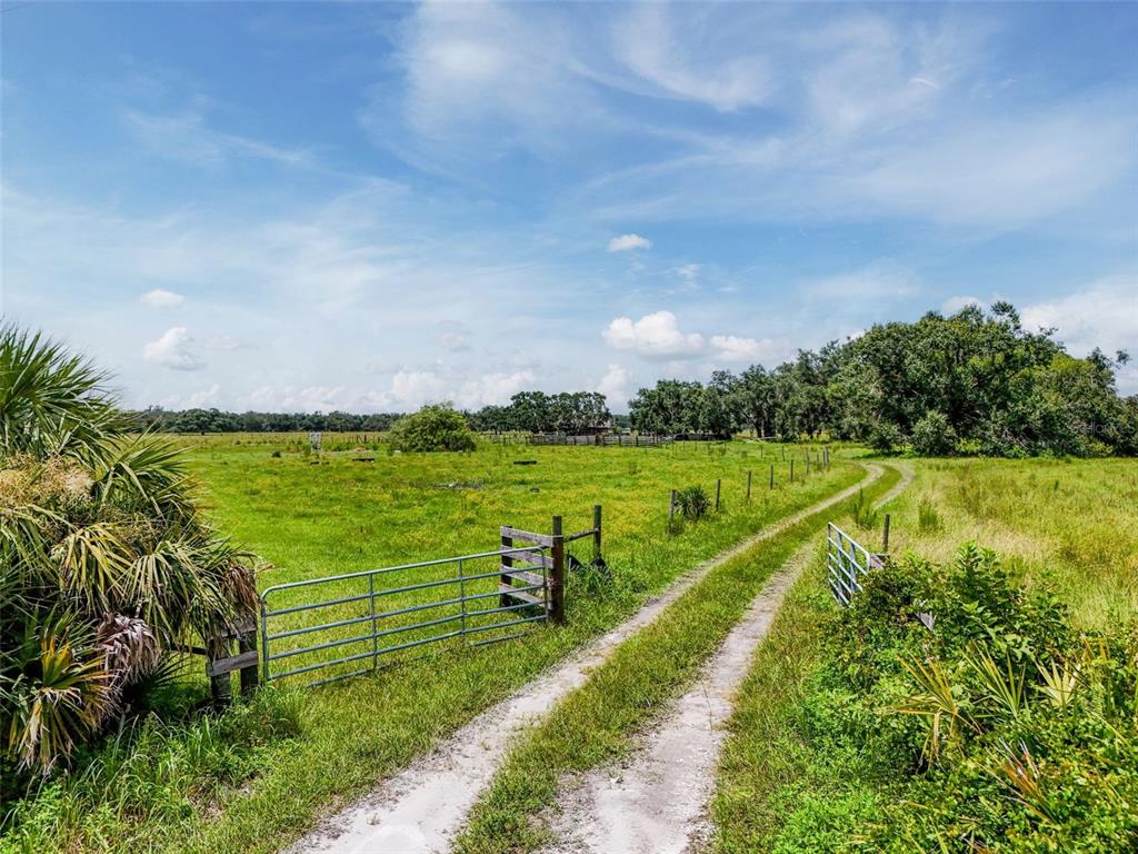 12950 River Road Myakka City, FL 34251 - Photo 5 of 32 a view of a lake with a big yard