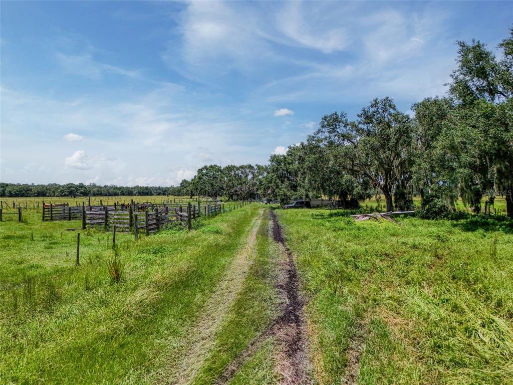 12950 River Road Myakka City, FL 34251 - Photo 7 of 32 a view of a golf course with a lake