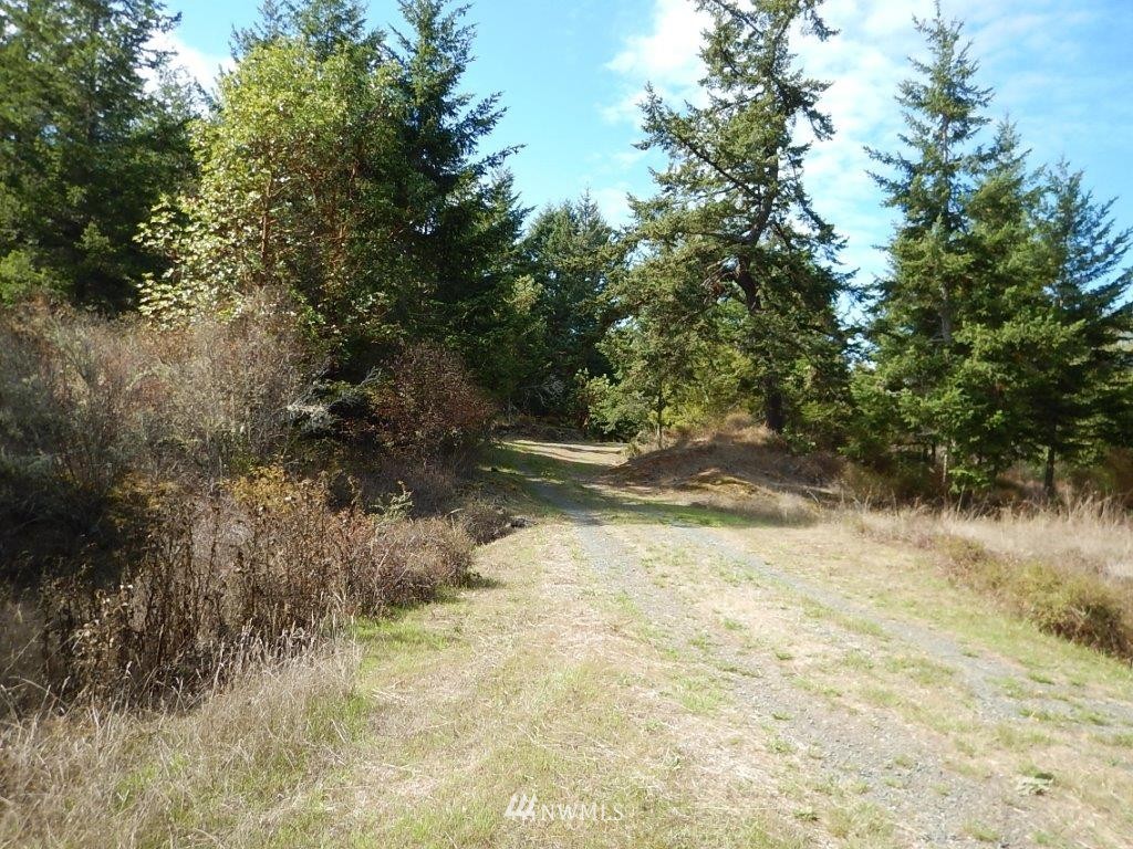 0 Bullfrog Road Friday Harbor, WA 98250 - Photo 14 of 16 Gallery Image 14