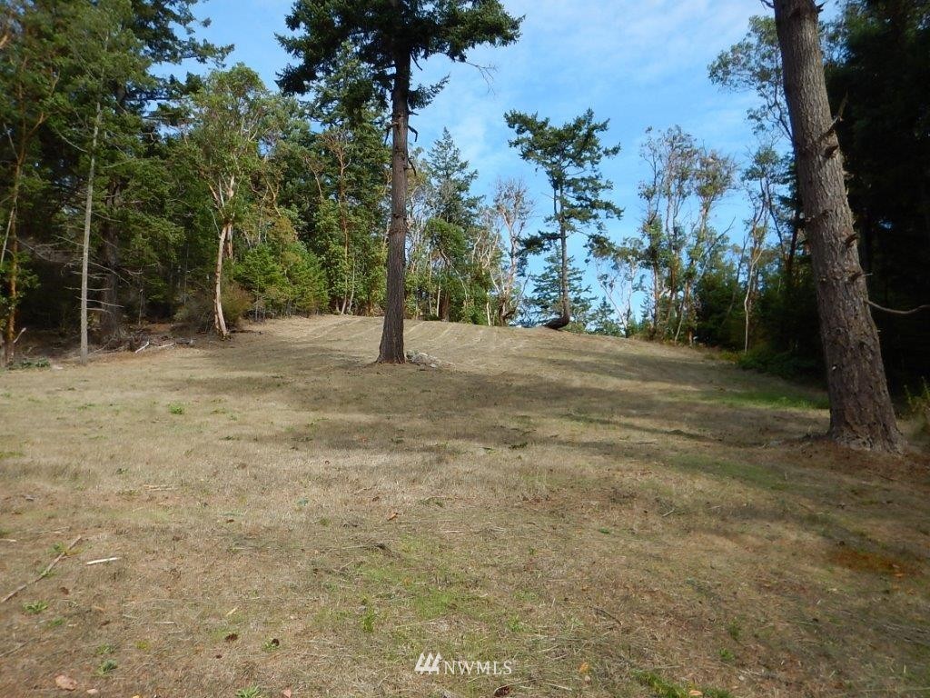0 Bullfrog Road Friday Harbor, WA 98250 - Photo 4 of 16 Gallery Image 4