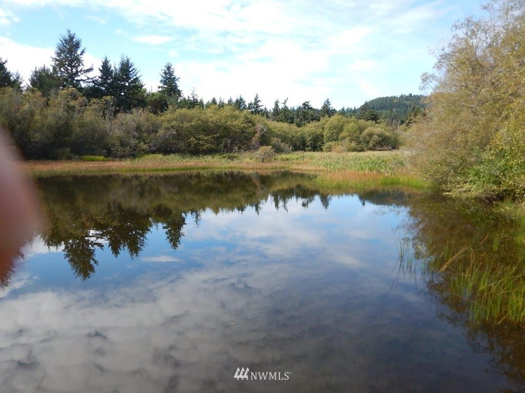 0 Bullfrog Road Friday Harbor, WA 98250 - Photo 5 of 16 Gallery Image 5