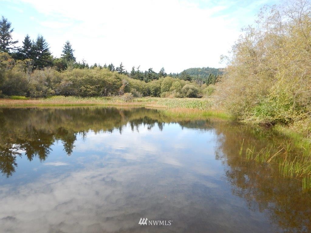 0 Bullfrog Road Friday Harbor, WA 98250 - Photo 6 of 16 Gallery Image 6