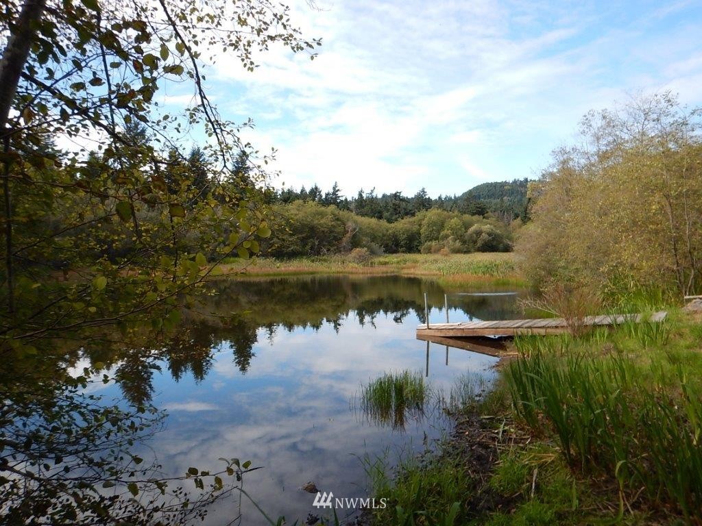 0 Bullfrog Road Friday Harbor, WA 98250 - Photo 7 of 16 Gallery Image 7