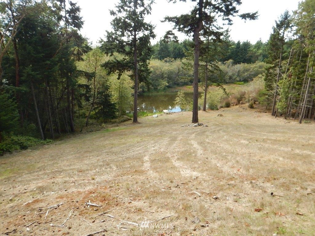 0 Bullfrog Road Friday Harbor, WA 98250 - Photo 8 of 16 Gallery Image 8