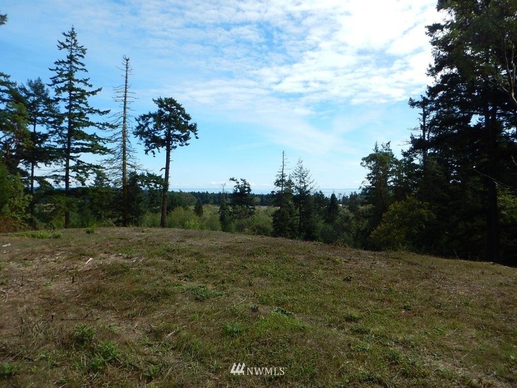 0 Bullfrog Road Friday Harbor, WA 98250 - Photo 10 of 16 Gallery Image 10