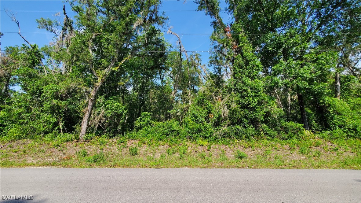 7475 Shasta Street Webster, FL 33597 - Photo 4 of 8 a view of a yard