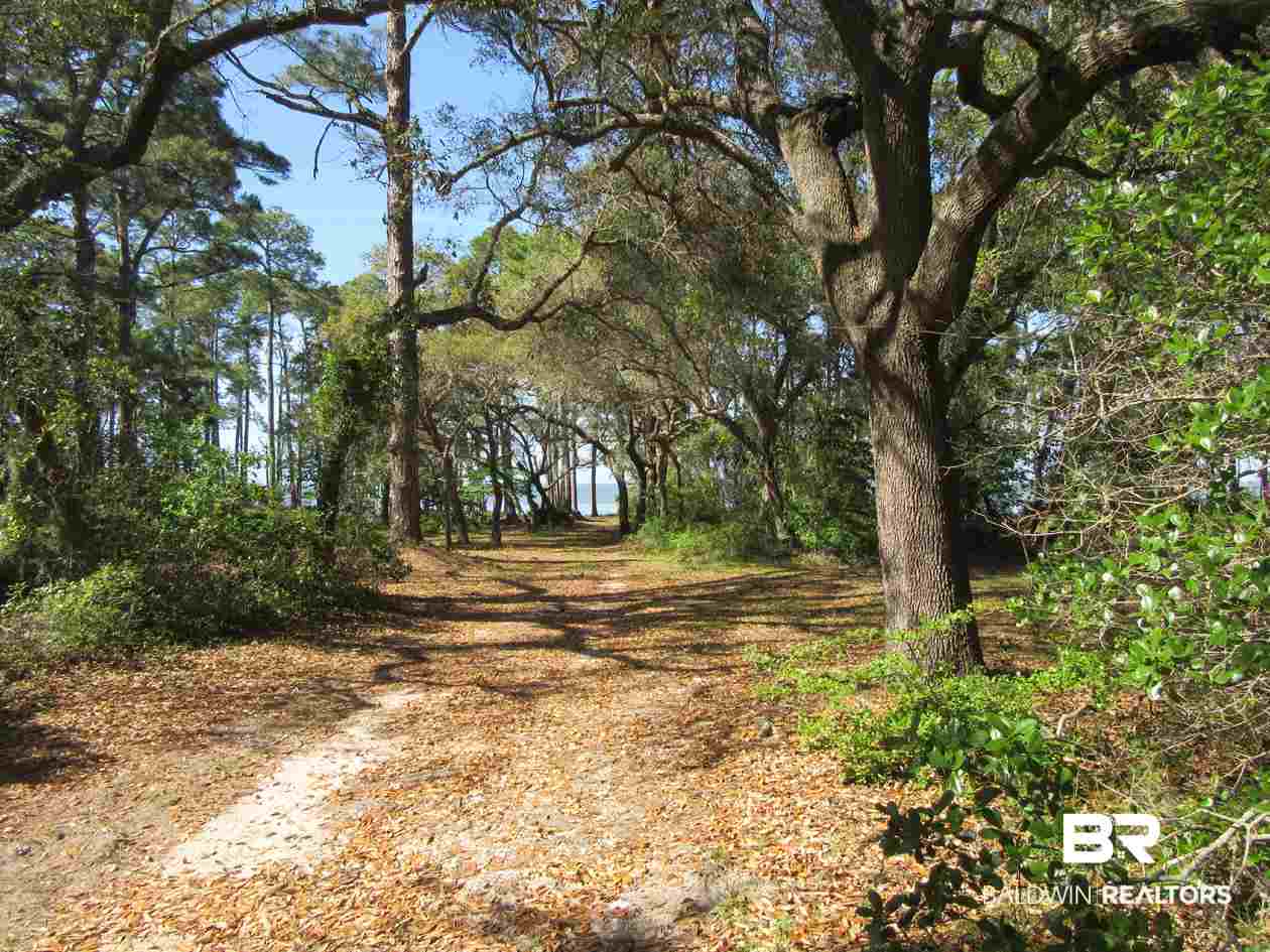 Strong Road Gulf Shores, AL 36542 - Photo 4 of 21
