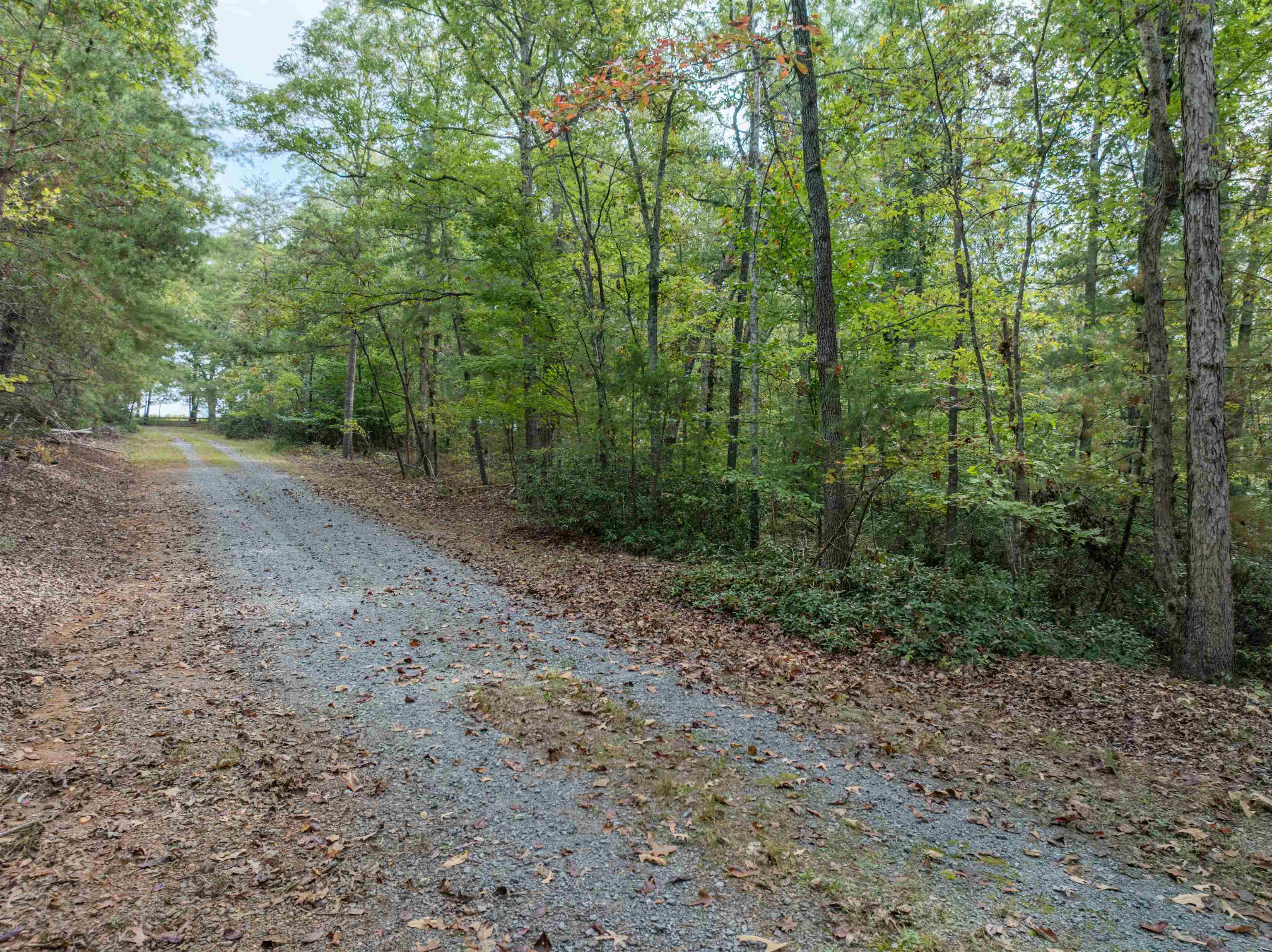 Tbd Jones Overlook Howardsville, VA 24562 - Photo 11 of 74 a view of a forest with trees in the background