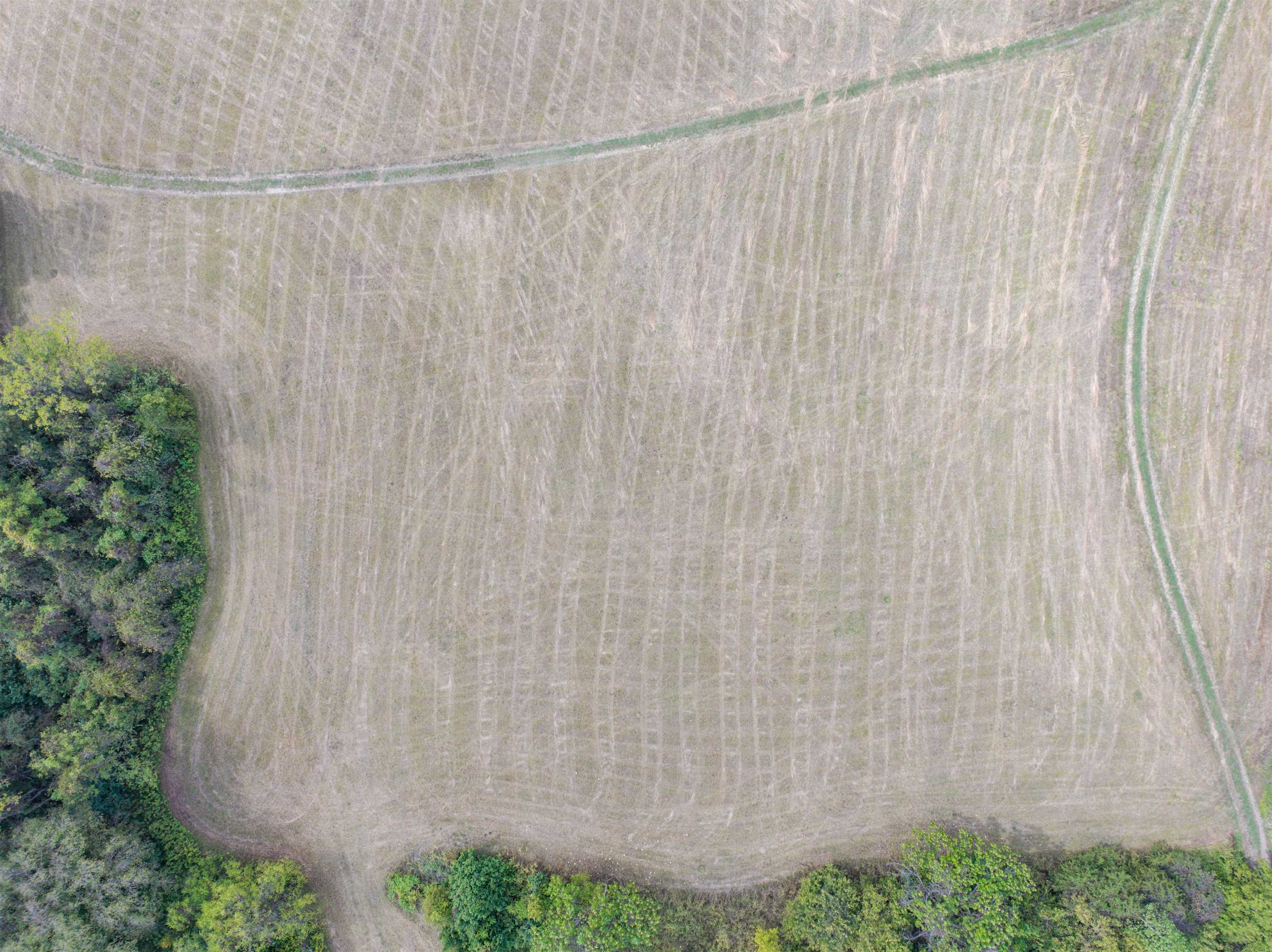 Tbd Jones Overlook Howardsville, VA 24562 - Photo 22 of 74 a bathroom with a shower curtain