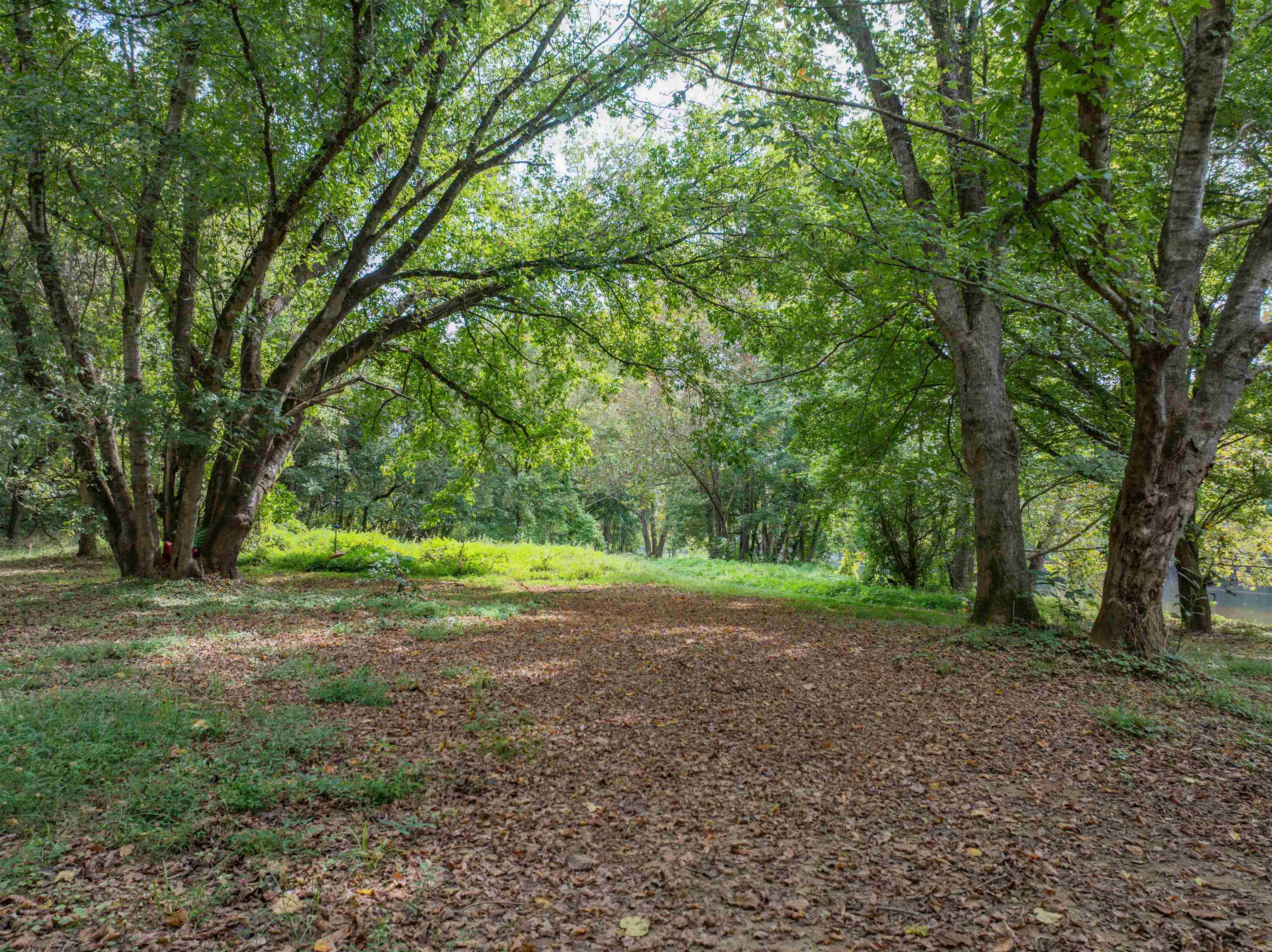 Tbd Jones Overlook Howardsville, VA 24562 - Photo 26 of 74 a view of a yard with a trees