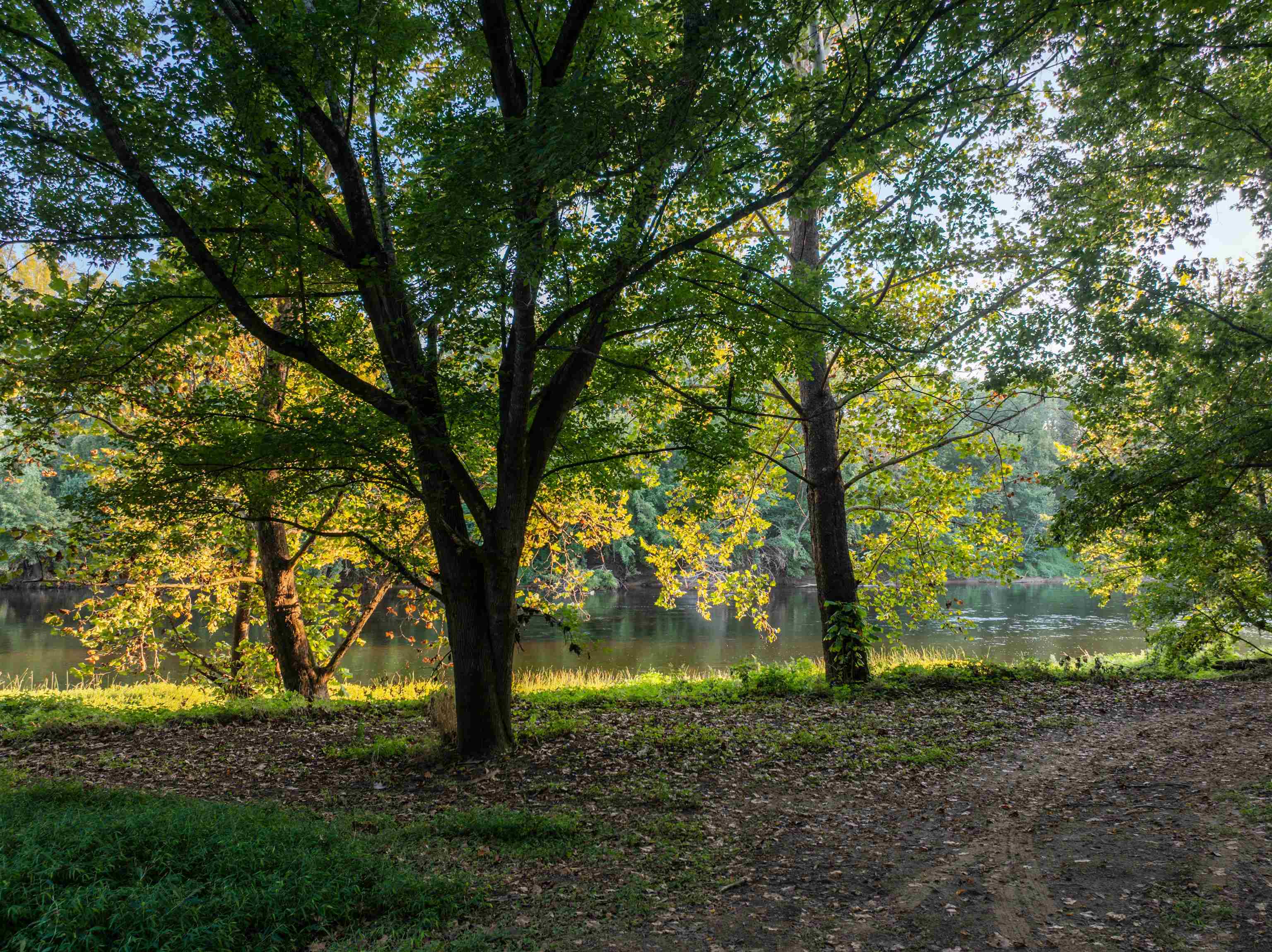 Tbd Jones Overlook Howardsville, VA 24562 - Photo 27 of 74 a big yard with lots of green space and trees