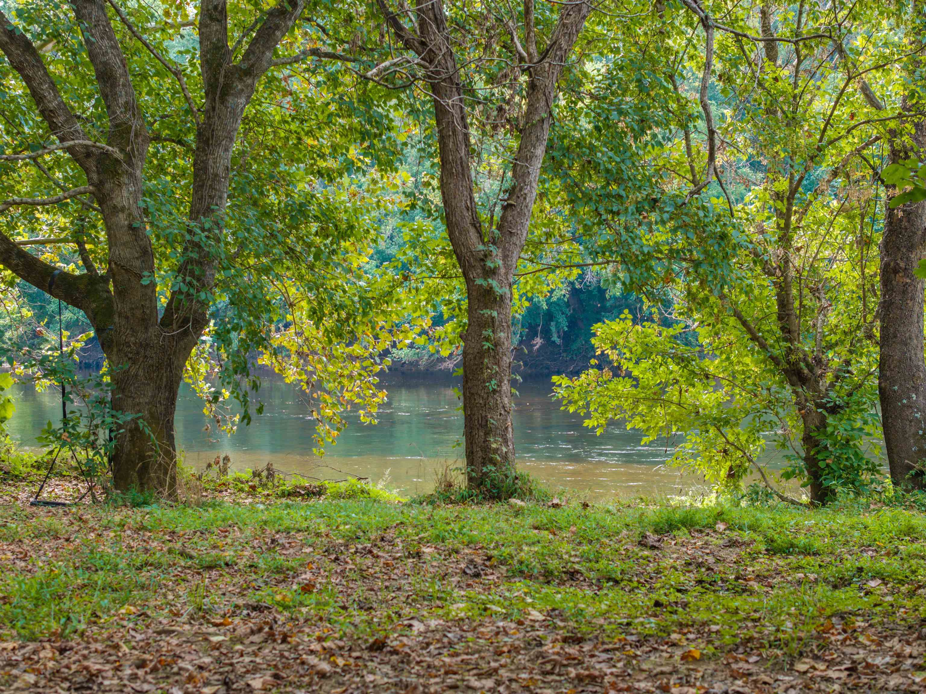Tbd Jones Overlook Howardsville, VA 24562 - Photo 29 of 74 a backyard of a house with yard and outdoor seating