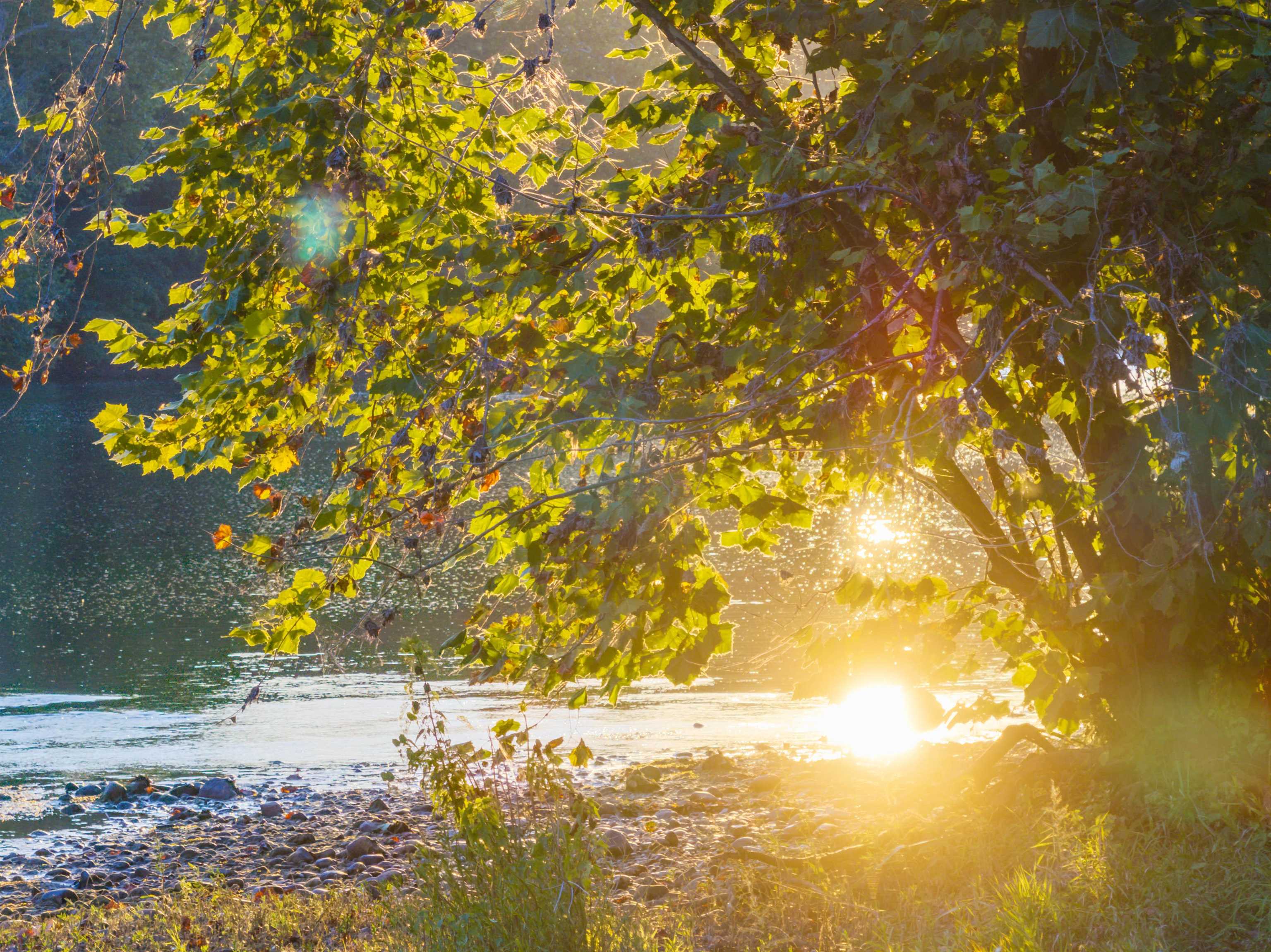 Tbd Jones Overlook Howardsville, VA 24562 - Photo 31 of 74