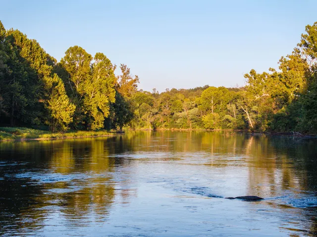 an aerial view of green landscape with trees houses and lake view
