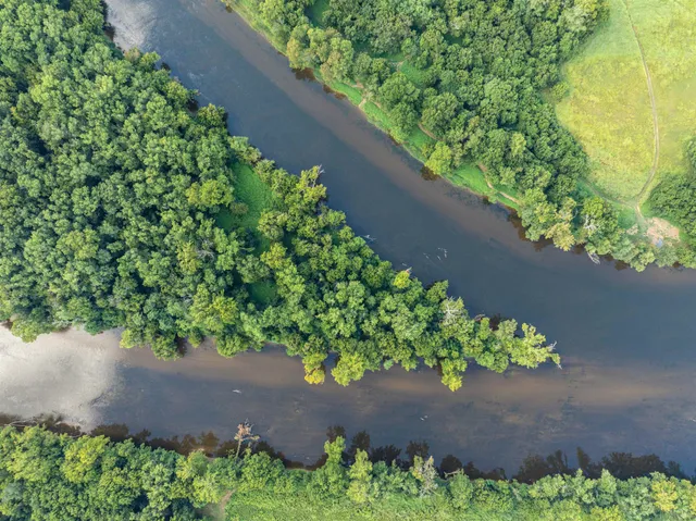 a view of lake with green space