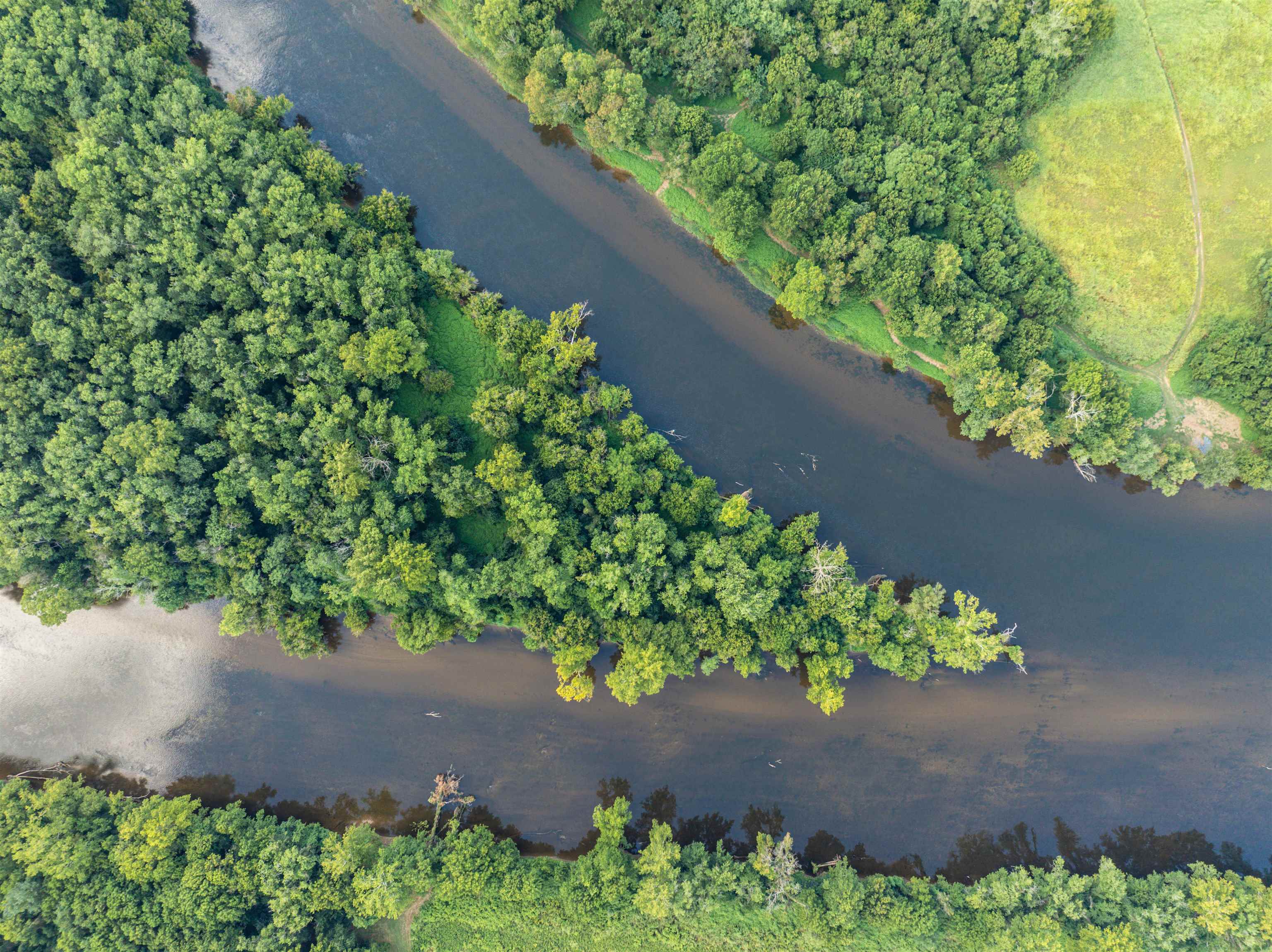 Tbd Jones Overlook Howardsville, VA 24562 - Photo 41 of 74 a view of a garden with a lot of flower plants