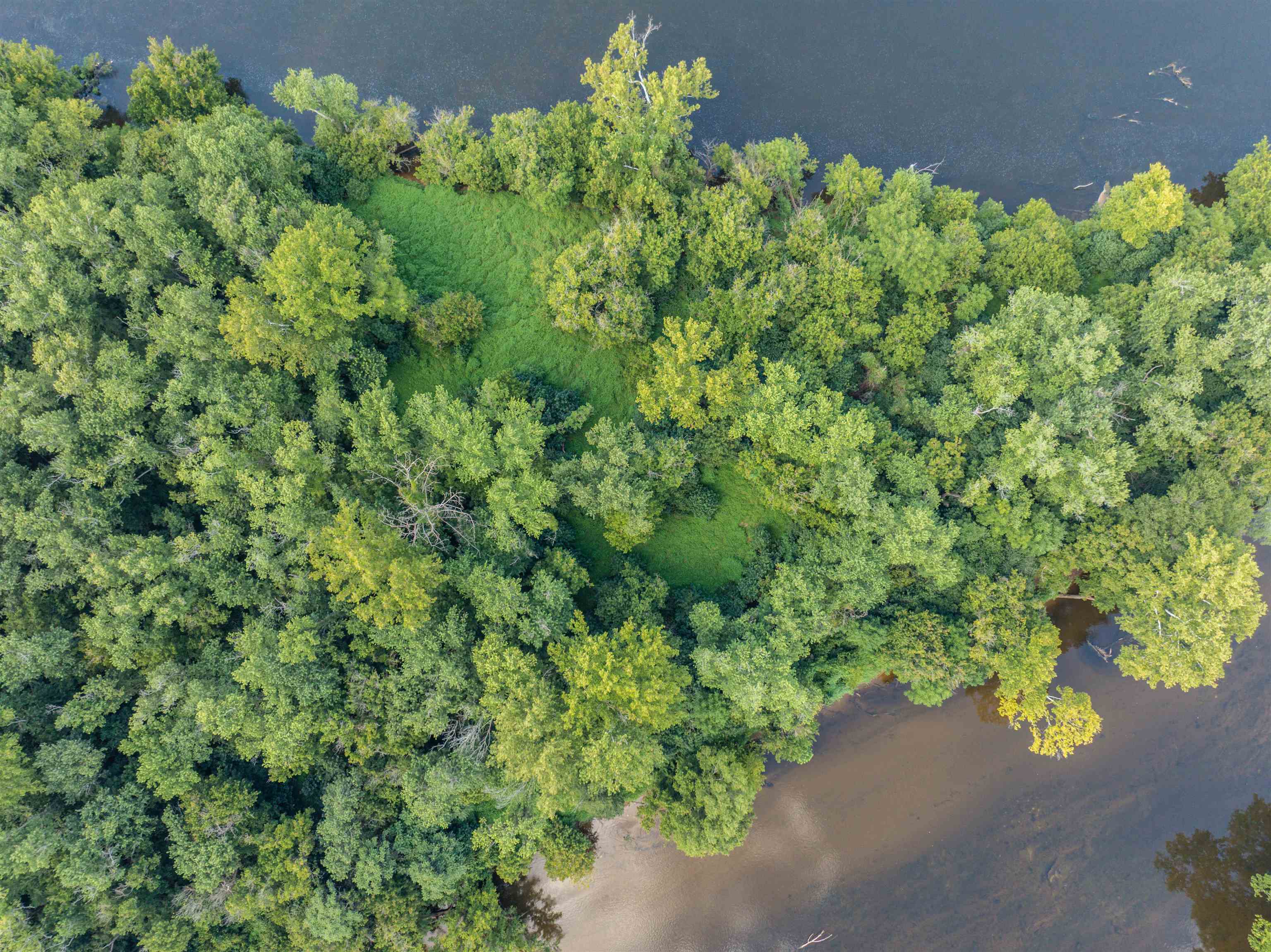 Tbd Jones Overlook Howardsville, VA 24562 - Photo 42 of 74 a view of a garden with a plant