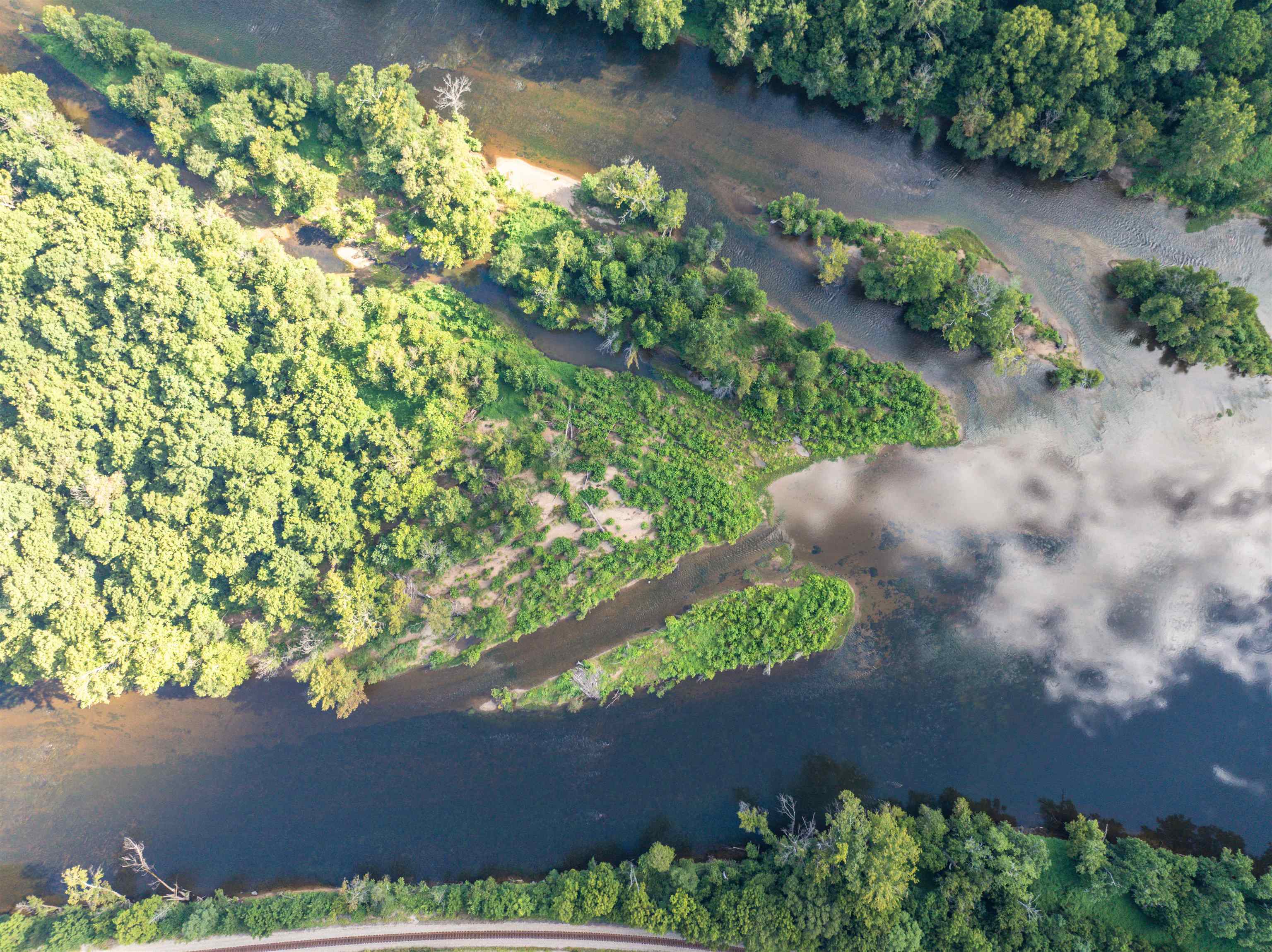 Tbd Jones Overlook Howardsville, VA 24562 - Photo 45 of 74 a view of a garden with a lot of plants
