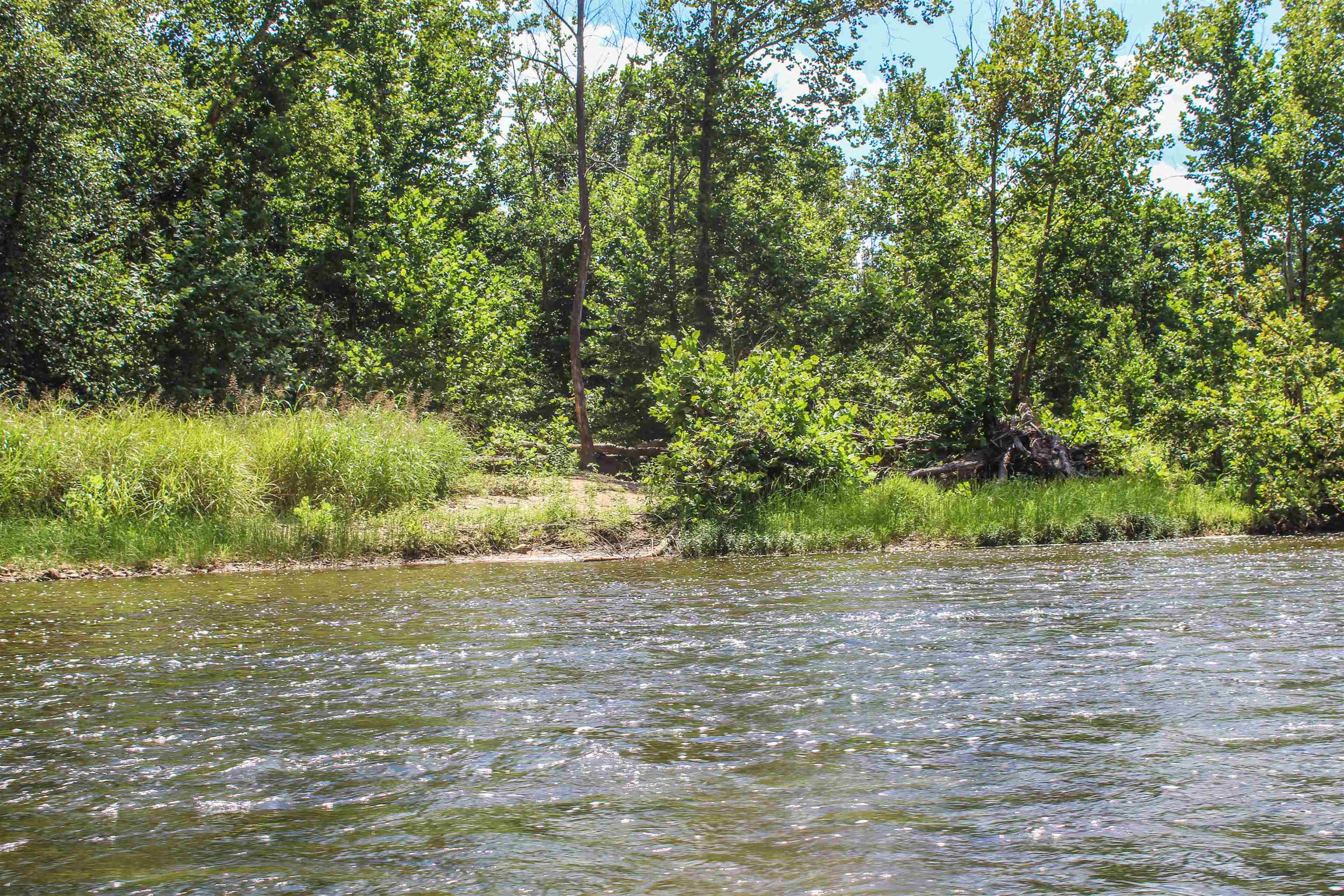 Tbd Jones Overlook Howardsville, VA 24562 - Photo 57 of 74