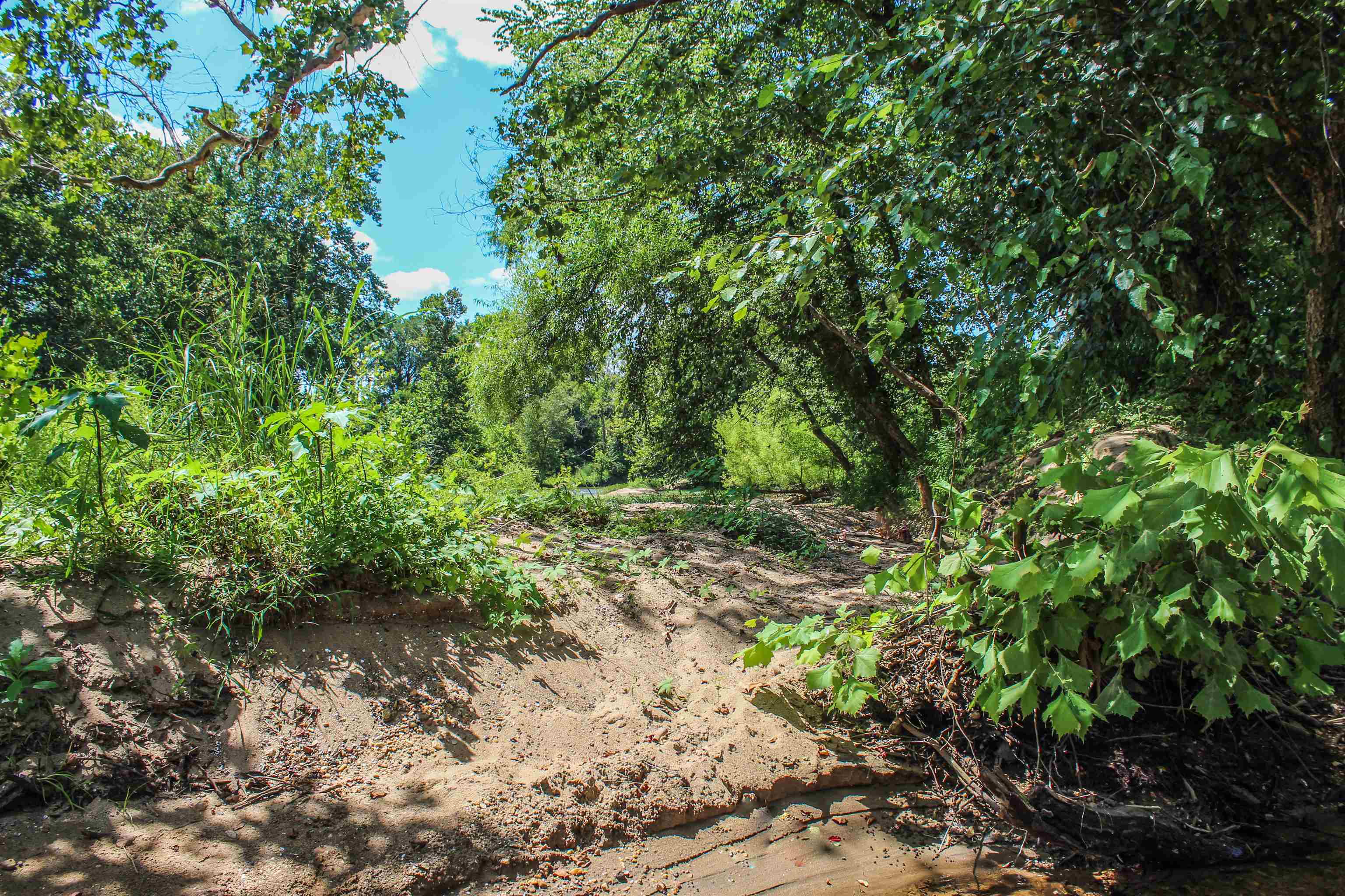 Tbd Jones Overlook Howardsville, VA 24562 - Photo 60 of 74 a view of a lake with a tree