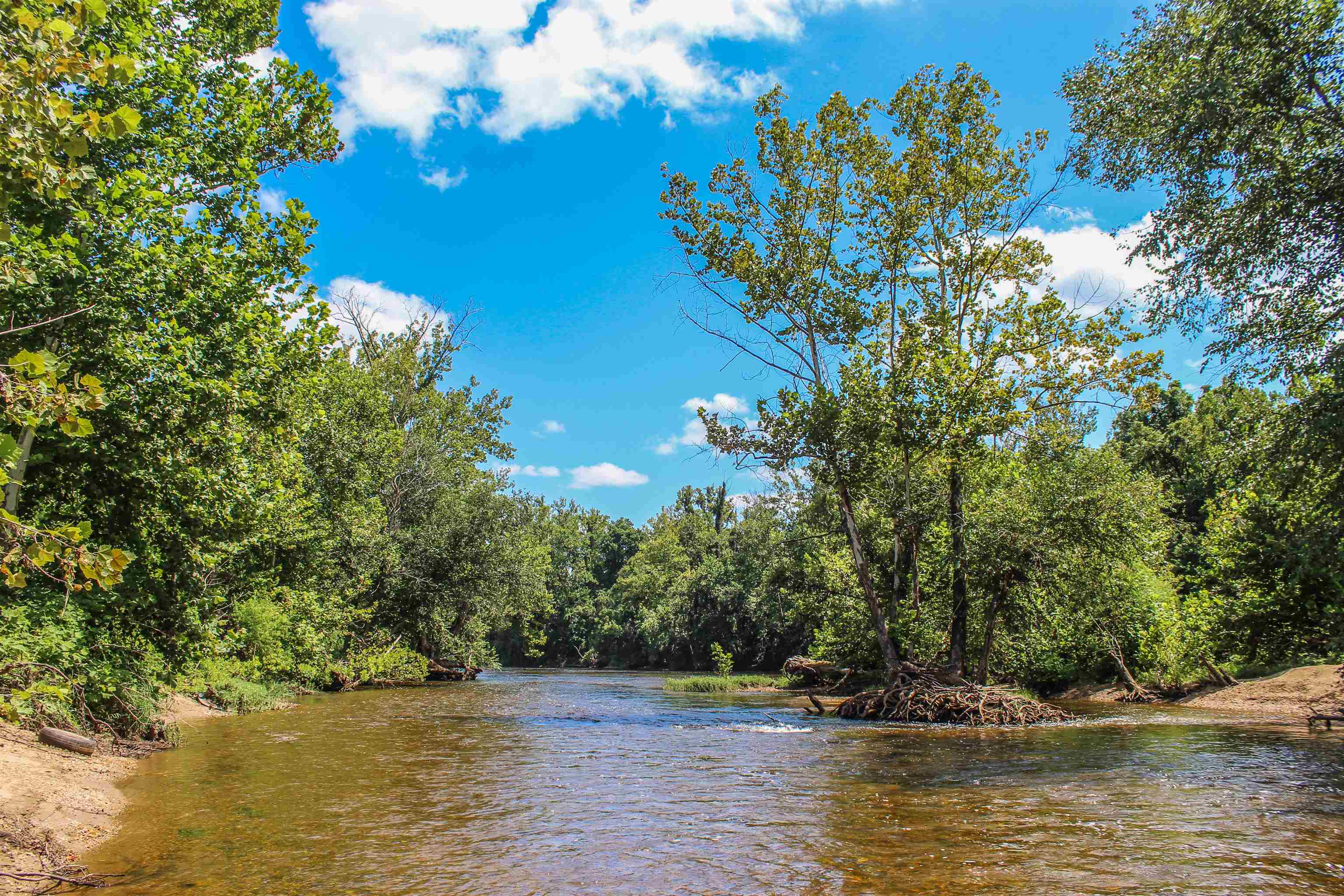 Tbd Jones Overlook Howardsville, VA 24562 - Photo 61 of 74