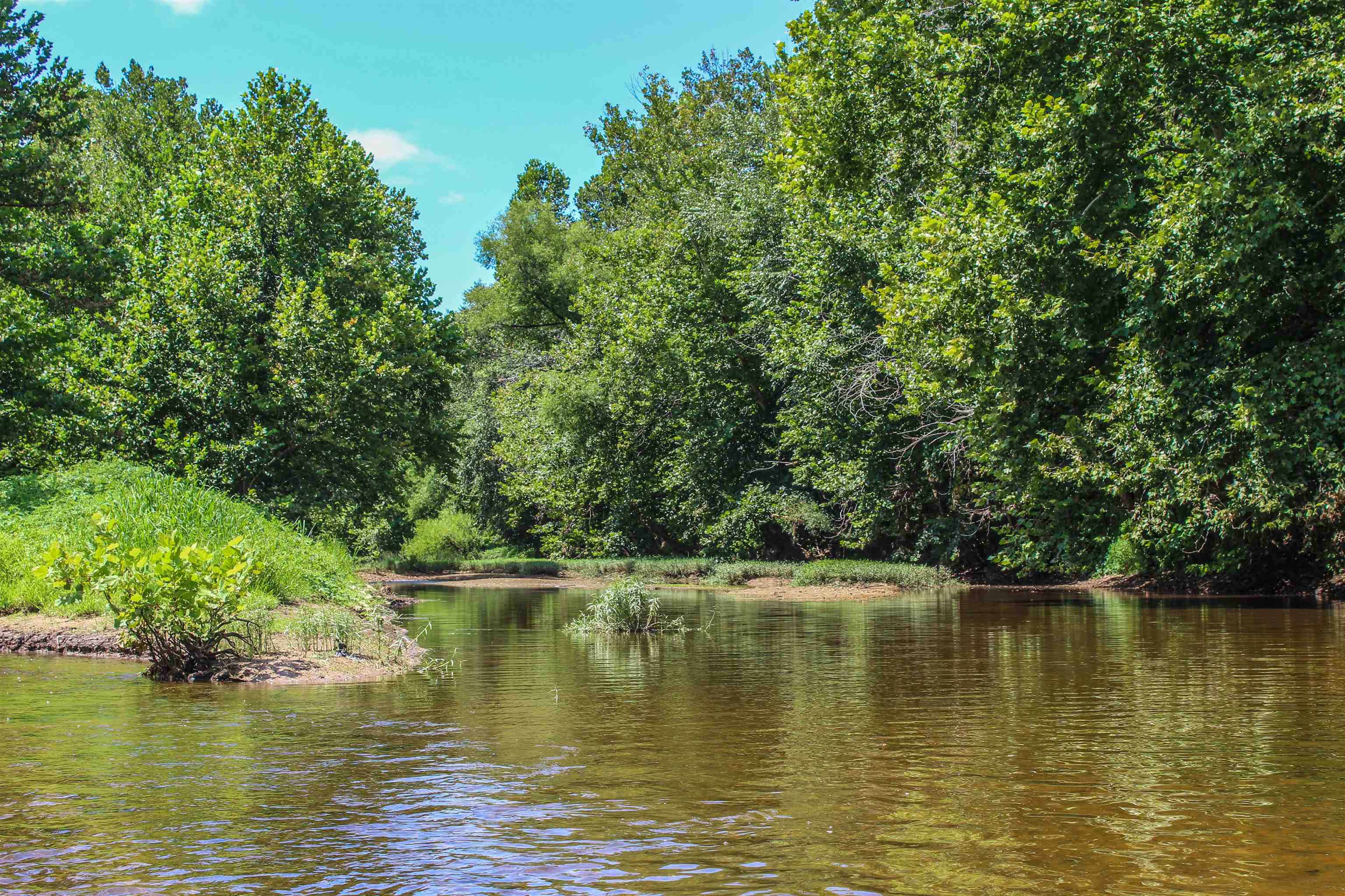 Tbd Jones Overlook Howardsville, VA 24562 - Photo 63 of 74