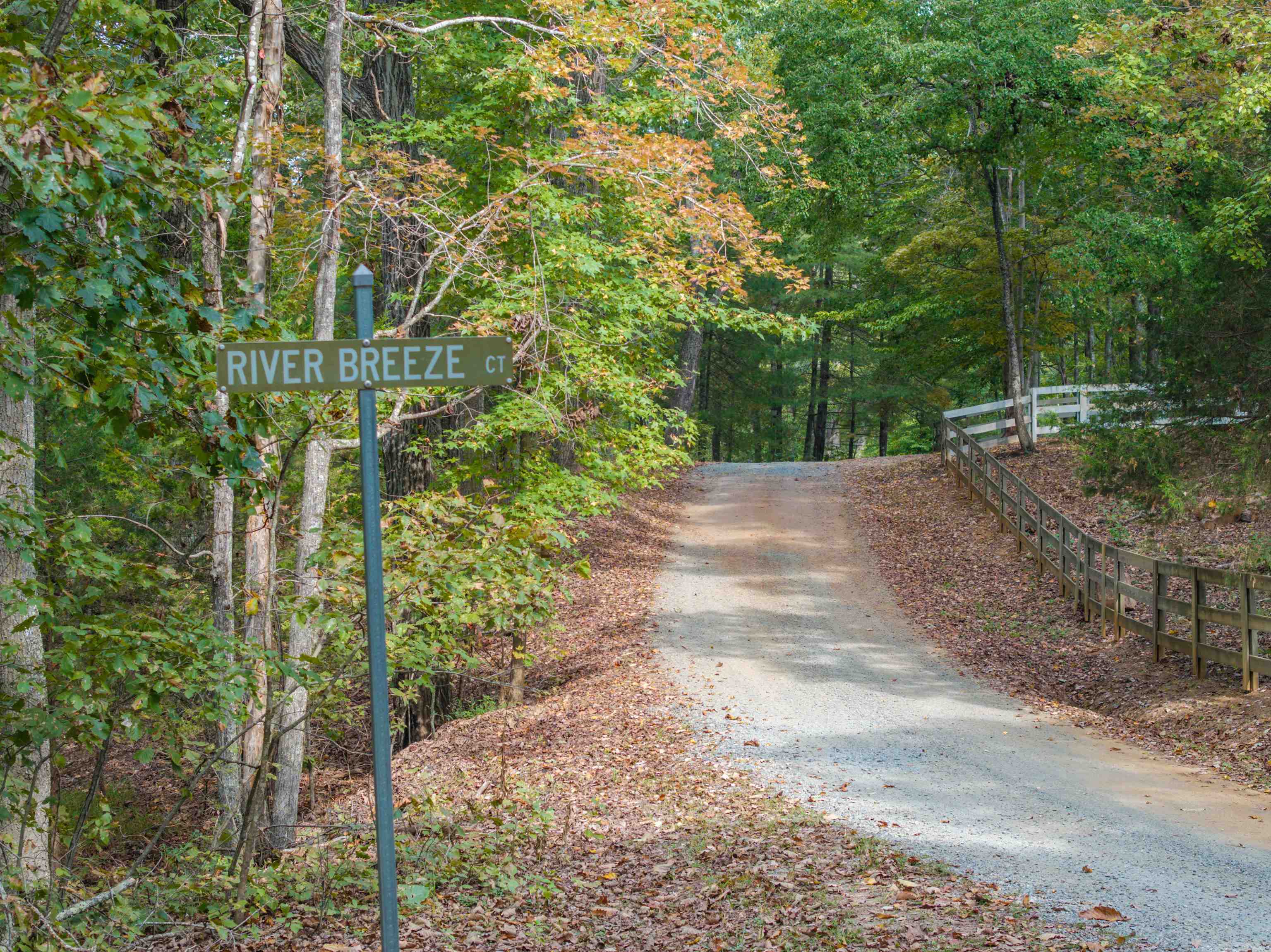Tbd Jones Overlook Howardsville, VA 24562 - Photo 7 of 74 a view of a yard with plants and trees