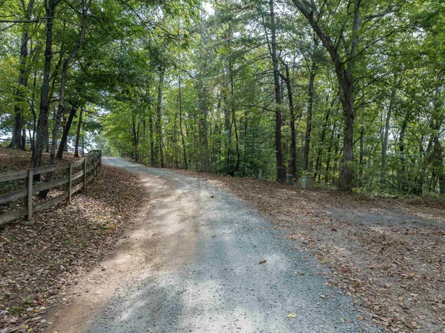 a view of a forest with trees