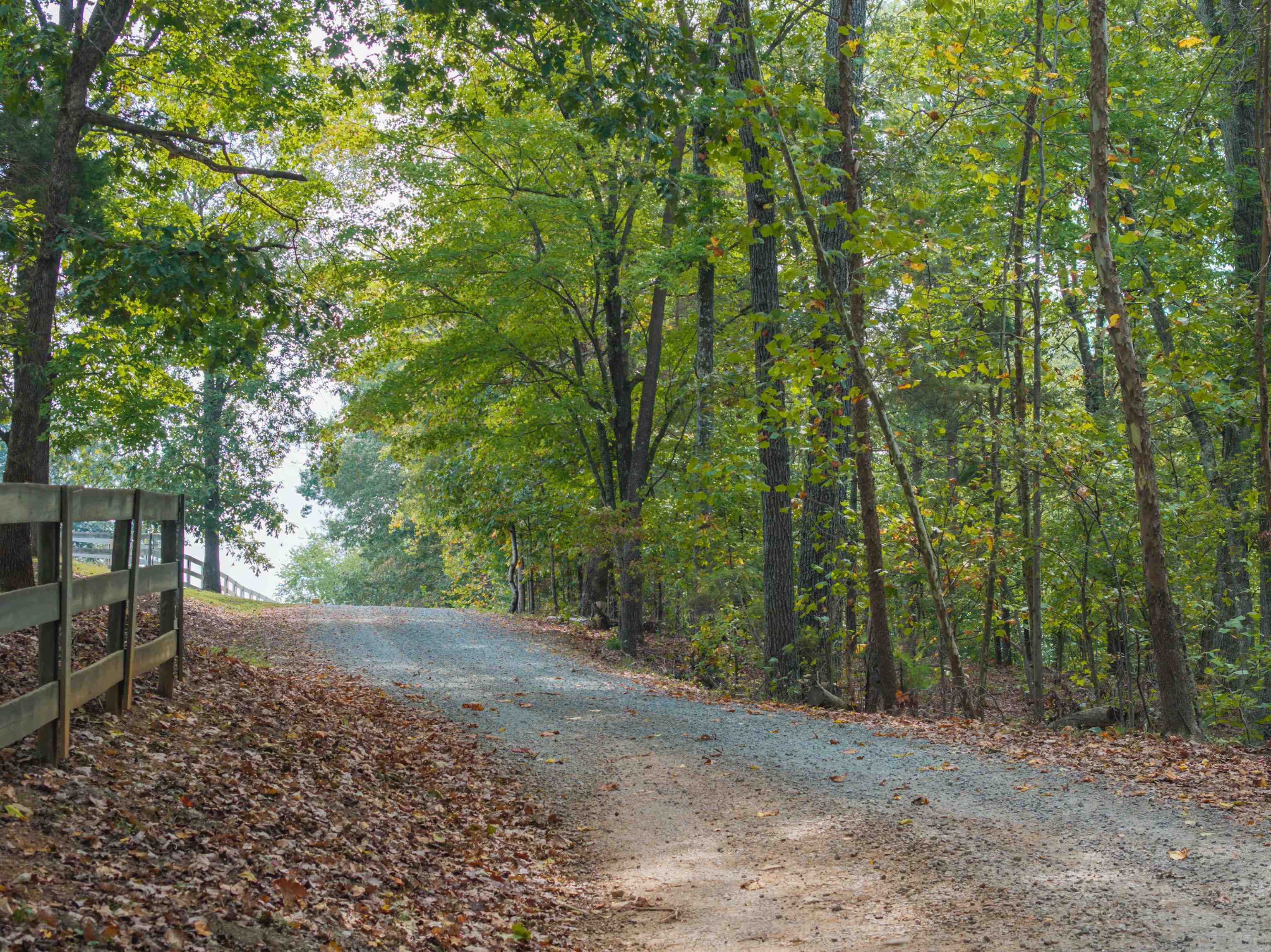 Tbd Jones Overlook Howardsville, VA 24562 - Photo 9 of 74 a view of a forest with trees