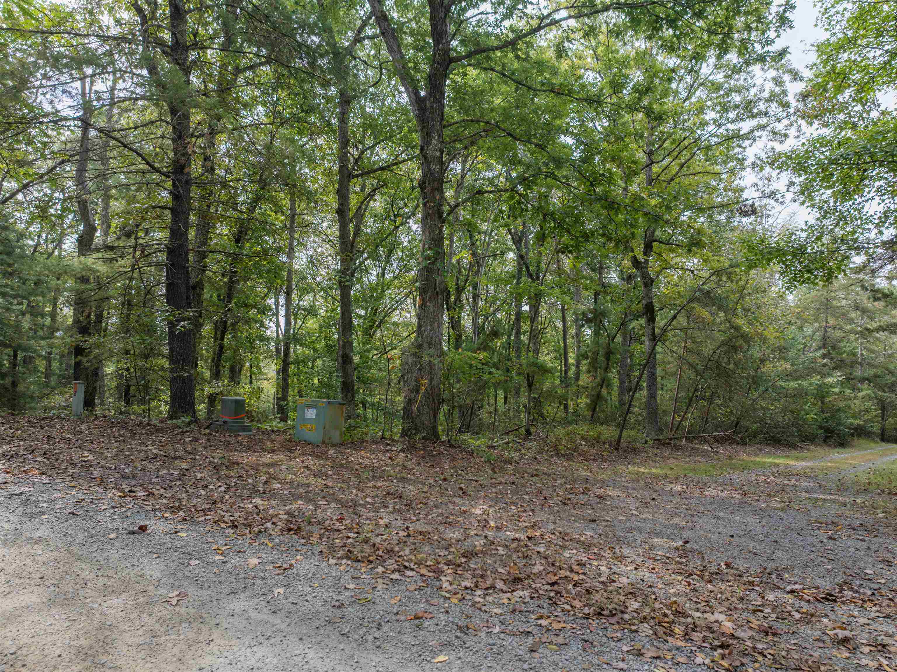 Tbd Jones Overlook Howardsville, VA 24562 - Photo 10 of 74 a view of a forest with trees in the background