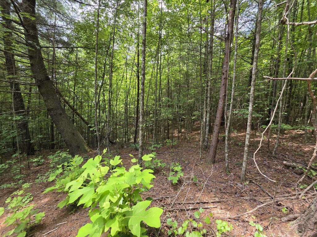 34.98 Hall Road Farner, TN 37333 - Photo 20 of 45 Gallery Image 20