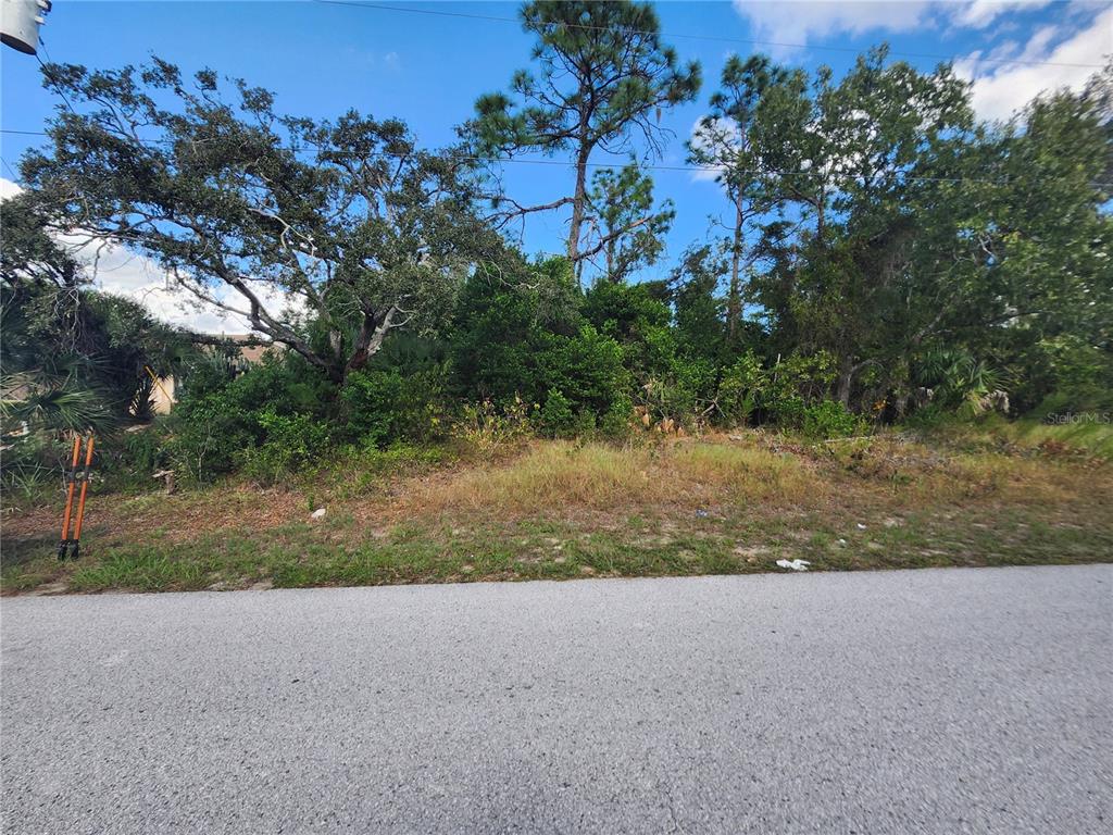 4404 Odin Street Spring Hill, FL 34608 - Photo 2 of 3 Gallery Image 2