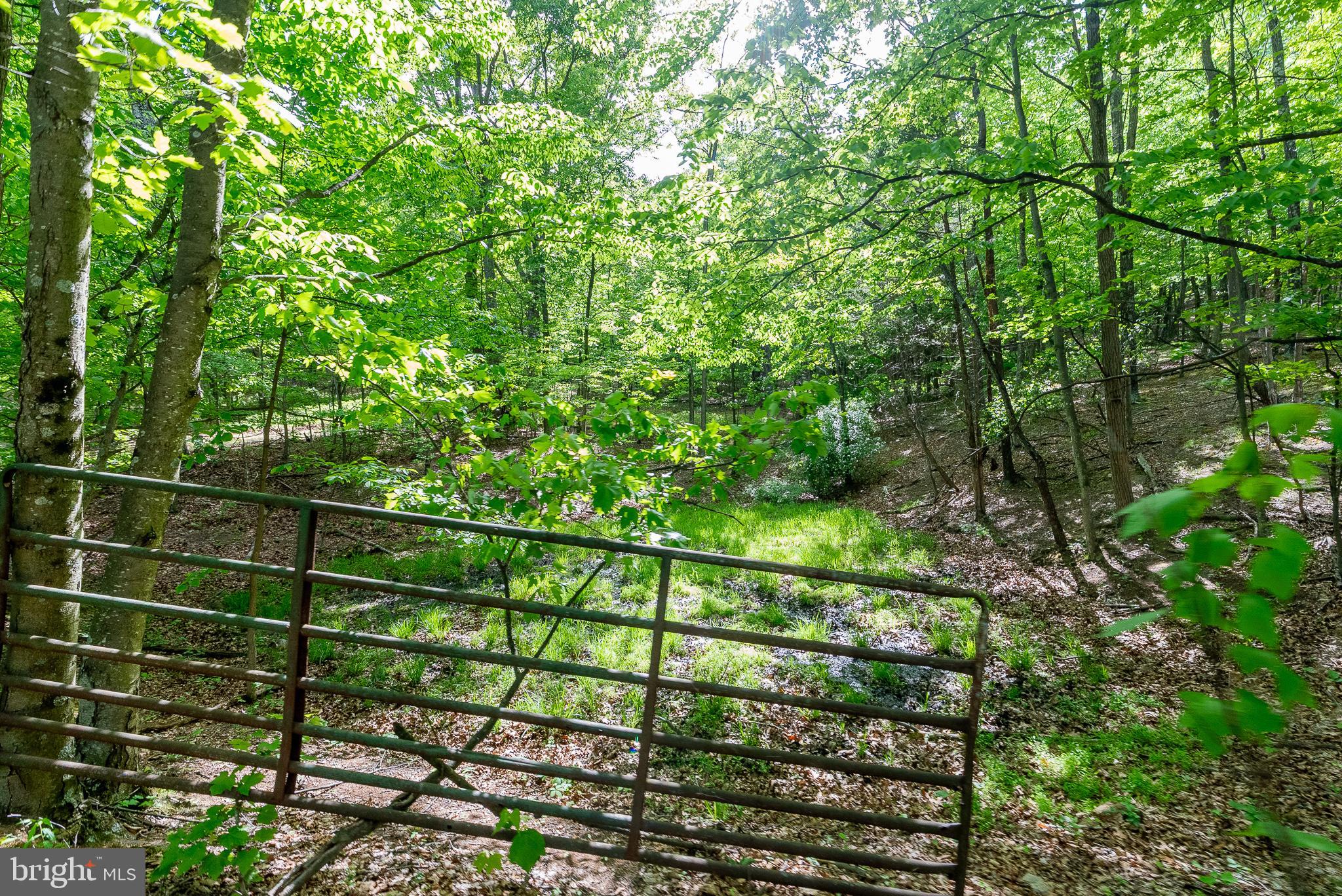 2598 Mountain View Road Purgitsville, WV 26852 - Photo 74 of 89